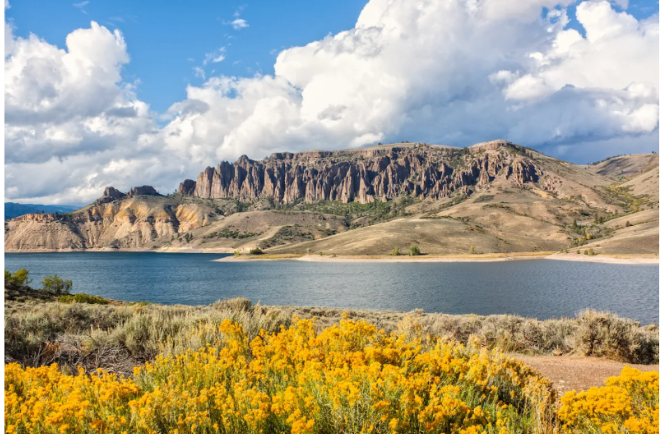 Should you try earthing?